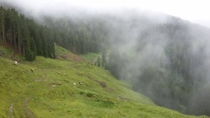 Panorama im Nebel