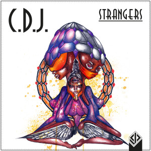 CD Strangers Cover